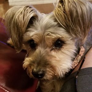 Meet your Posher, Sharon